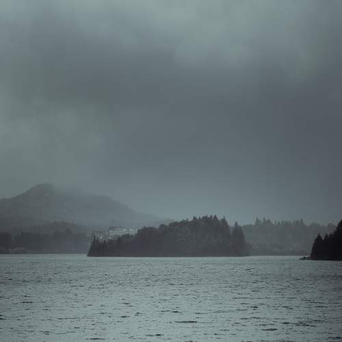 Photo #10077893