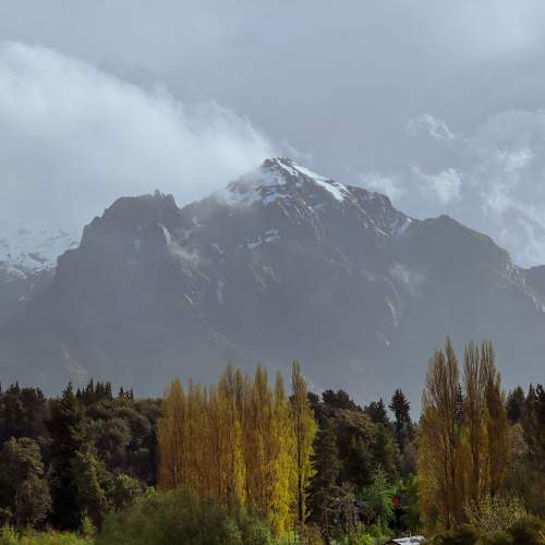 Photo #10077898