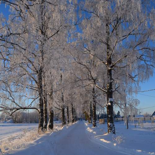 Photo #10078170