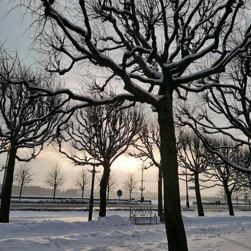 Photo #10078926
