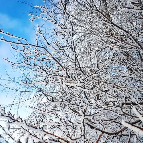 Photo #10078950