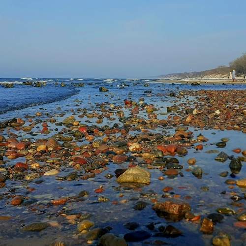 Photo #10079159