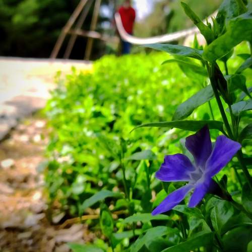 mobilegraphy