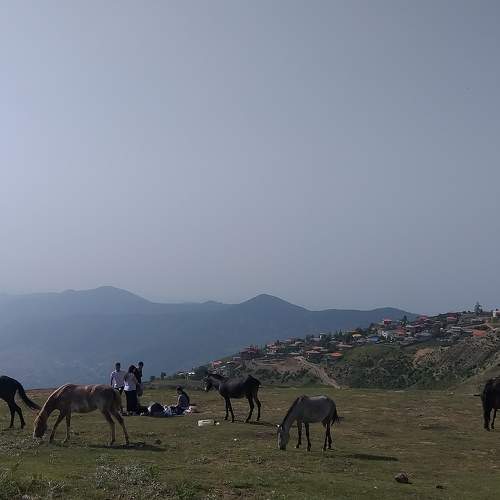 man and horse