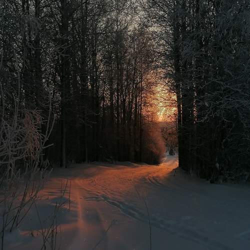 Photo #10079375