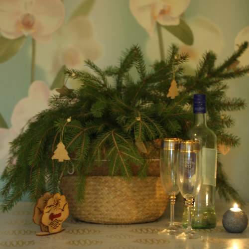 Photo #10080029