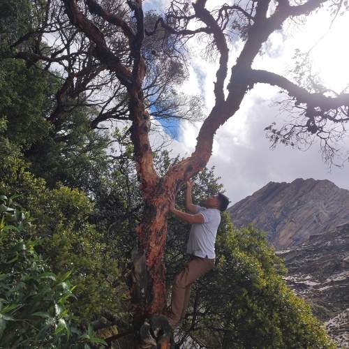 Photo #10080178