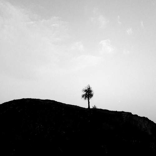 Photo #10080338