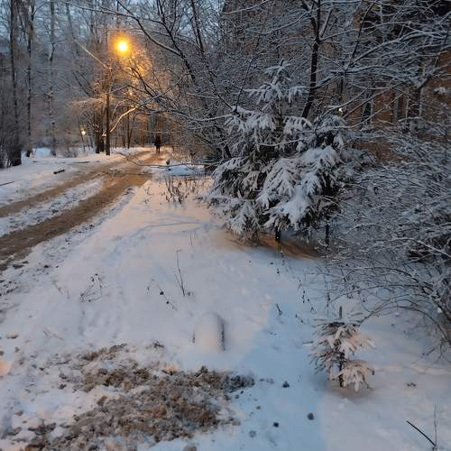 Photo #10080349