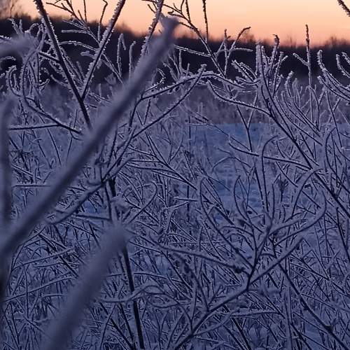 Photo #10080369