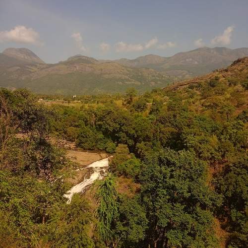 Photo #10080660