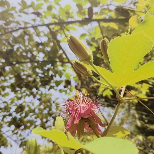 Photo #10080665
