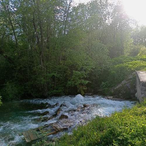 Photo #10080776