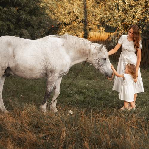 Photo #10081104