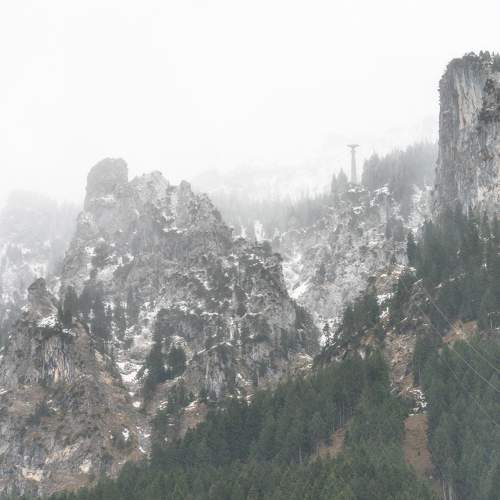 Photo #10081508