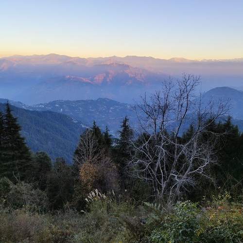 Photo #10081644