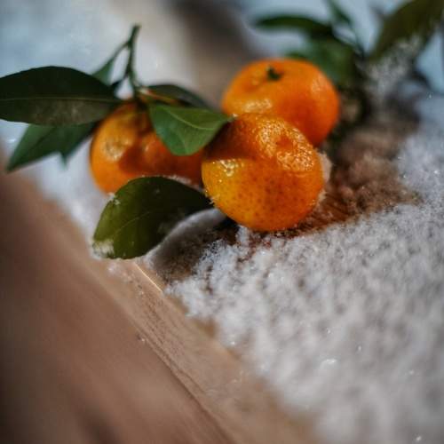 Photo #10082057