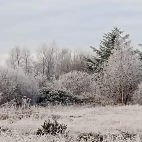 Snow