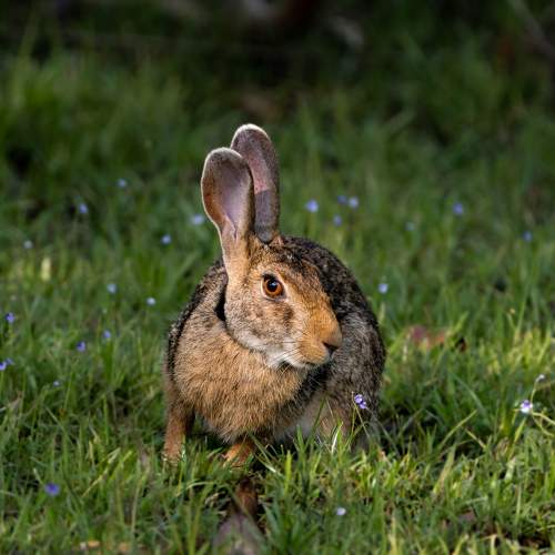 Photo #10082217