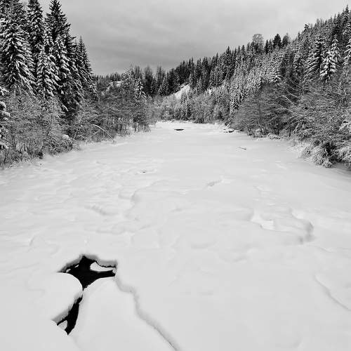 Photo #10082604