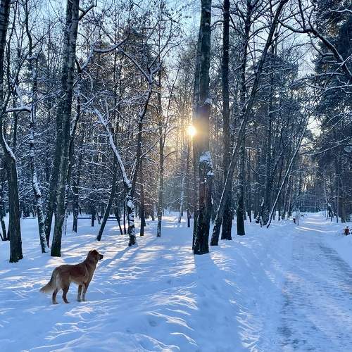 Photo #10083002