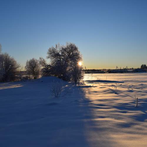 Photo #10083356