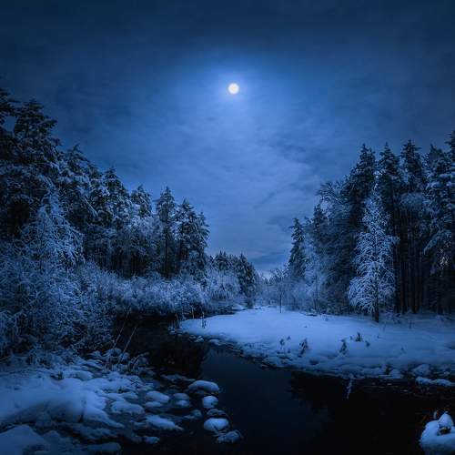 Photo #10084030