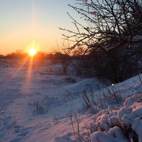 Photo #10084093