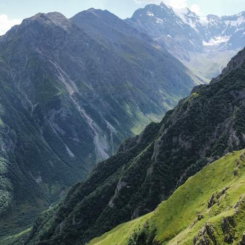 Photo #10084120