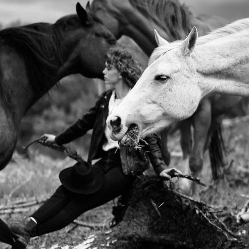 Photo #10084195