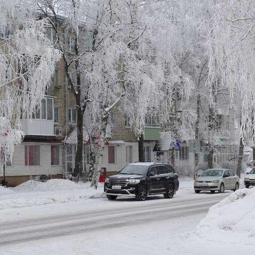 Photo #10084459