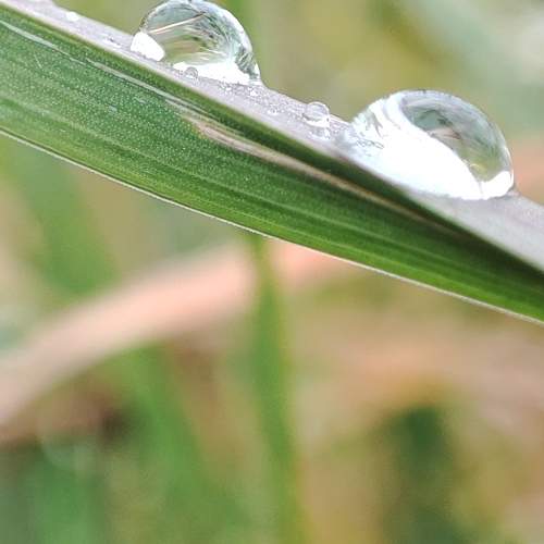 Photo #10084845