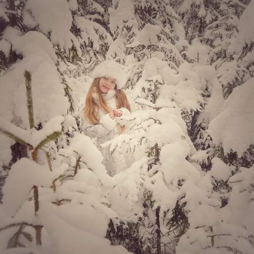 Photo #10085151