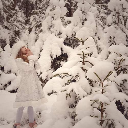 Photo #10085152