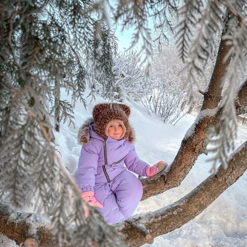 Photo #10085736