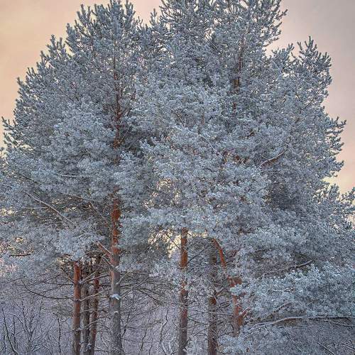 Photo #10086216