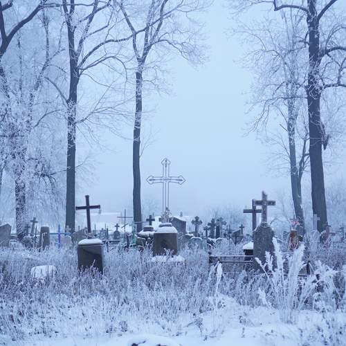 Photo #10086479