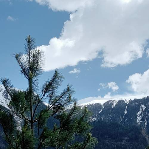 Nature