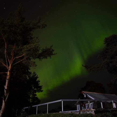 Photo #10086728