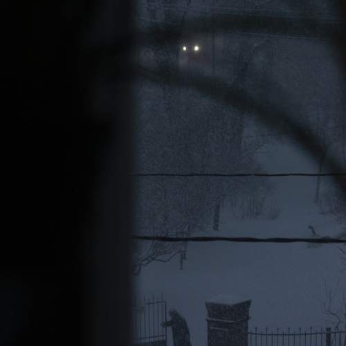 Photo #10086760