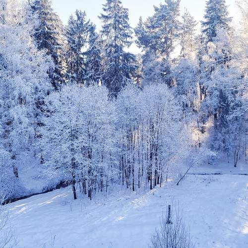 Photo #10086867