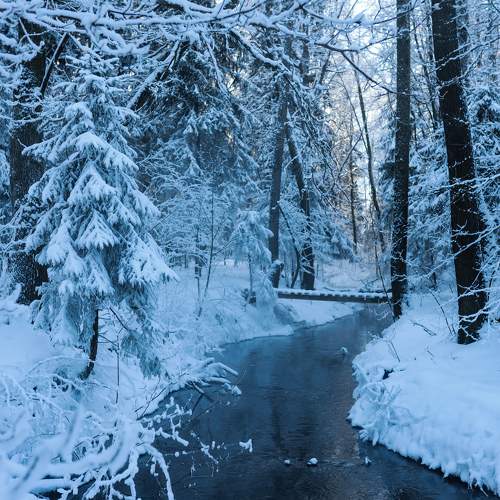Photo #10086874