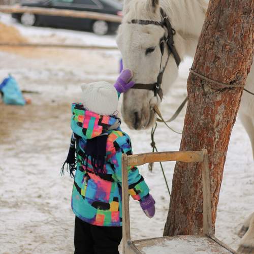 Photo #10087076
