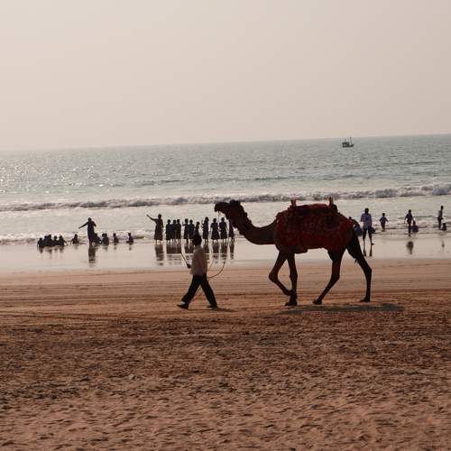 Photo #10087370