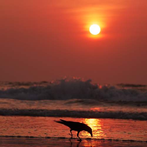 Photo #10087376