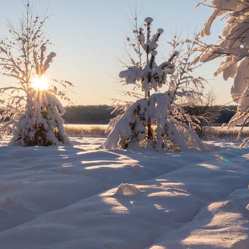 Photo #10087454