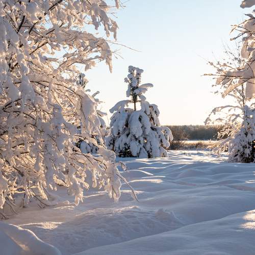 Photo #10087486