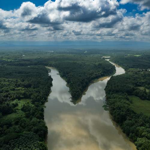 Photo #10087490