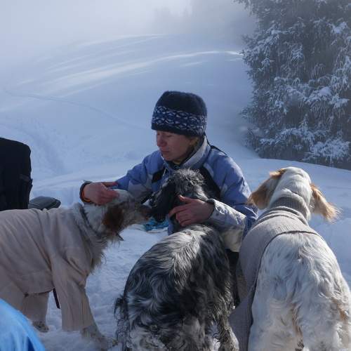 Photo #10088038