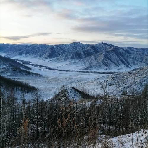 Photo #10088194